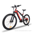 Comfortable aldult electric mountain bike